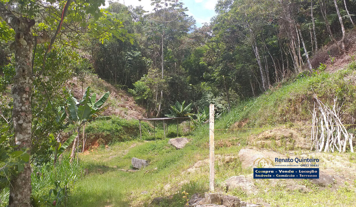 area verde